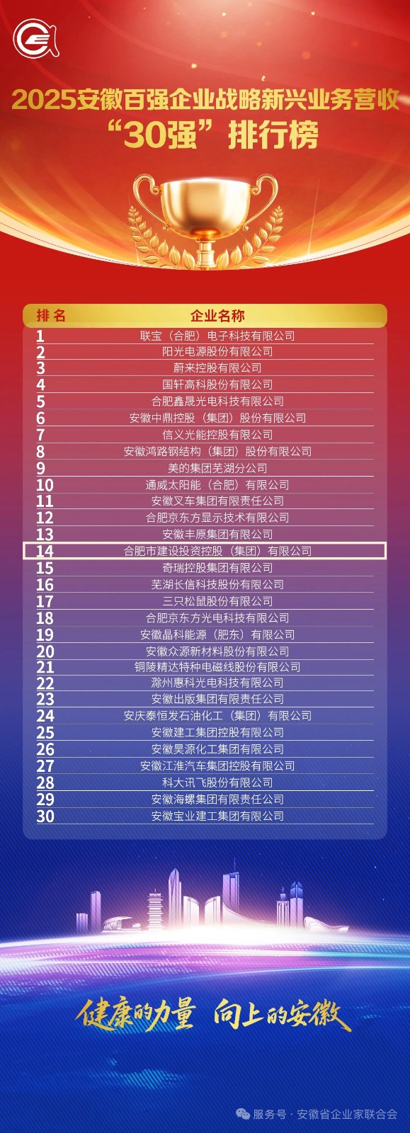 3.2025安徽百强企业战术新兴业务营收30强