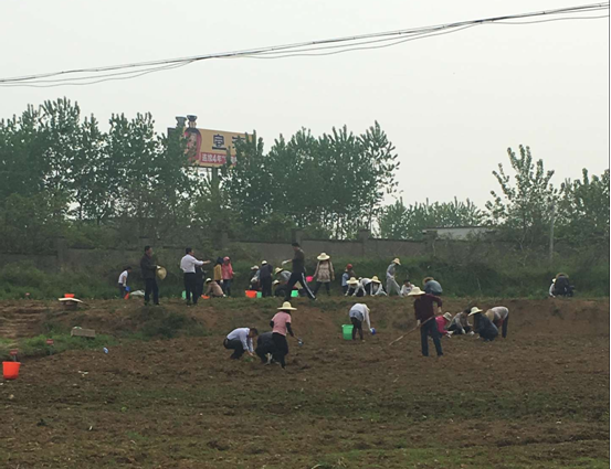 首页| G22恒峰集团中国官方网站