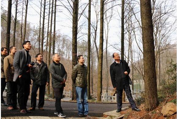 首页| G22恒峰集团中国官方网站