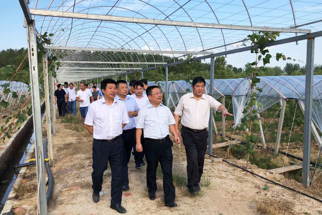 首页| G22恒峰集团中国官方网站