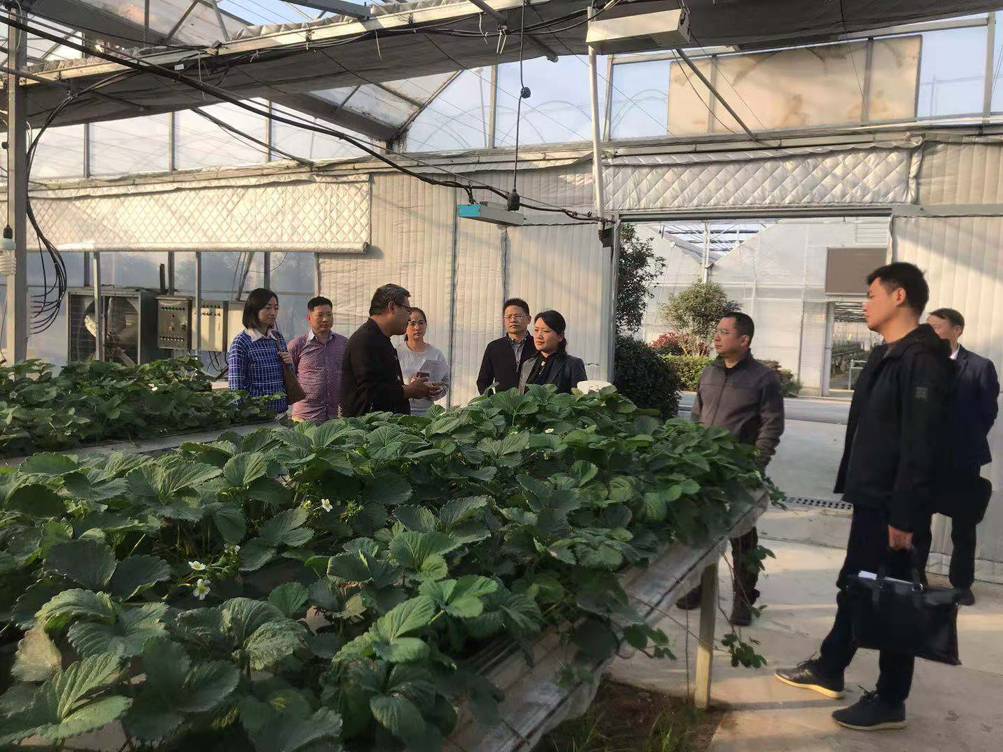 首页| G22恒峰集团中国官方网站