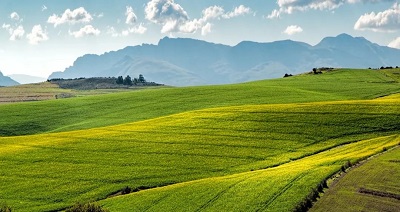 首页| G22恒峰集团中国官方网站